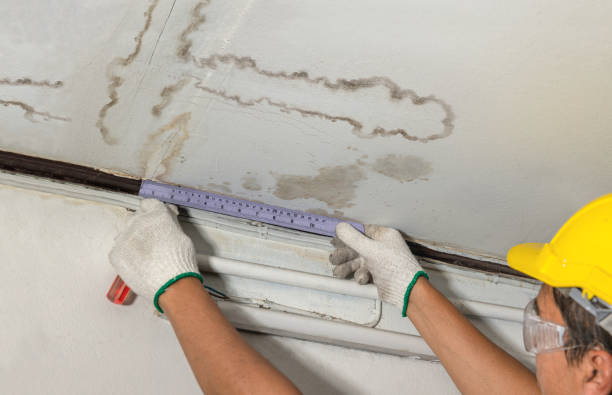 Reliable Mold Remediation contractor in Belews Creek, NC by Water Damage Irwin